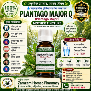 Plantago Major Q (Mother Tincture)