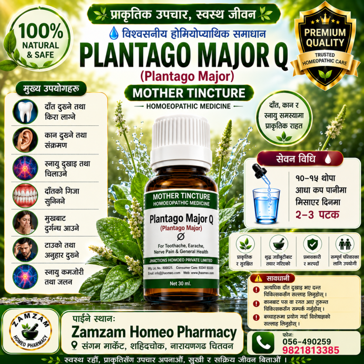 Plantago Major Q (Mother Tincture)